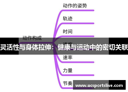 灵活性与身体拉伸：健康与运动中的密切关联