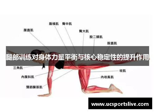 腿部训练对身体力量平衡与核心稳定性的提升作用